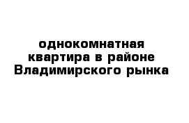 однокомнатная квартира в районе Владимирского рынка